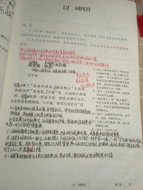 九下课外古诗四首有何重点与考点?
