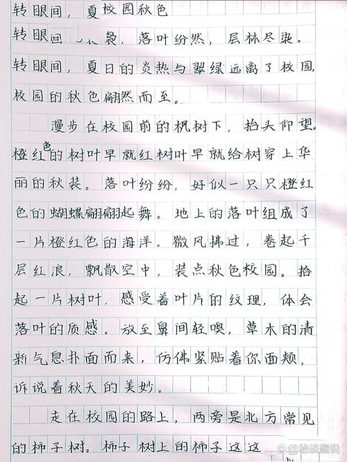 七年级上册第一单元作文怎么写？