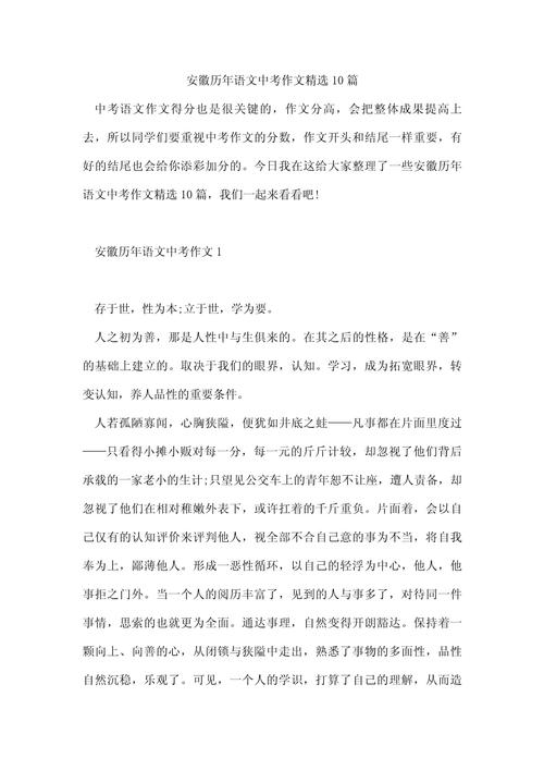 2010安徽作文题，十年回望，价值何在？