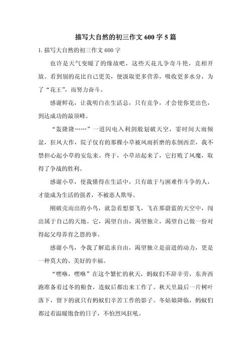 初三作文600字,如何写出彩?