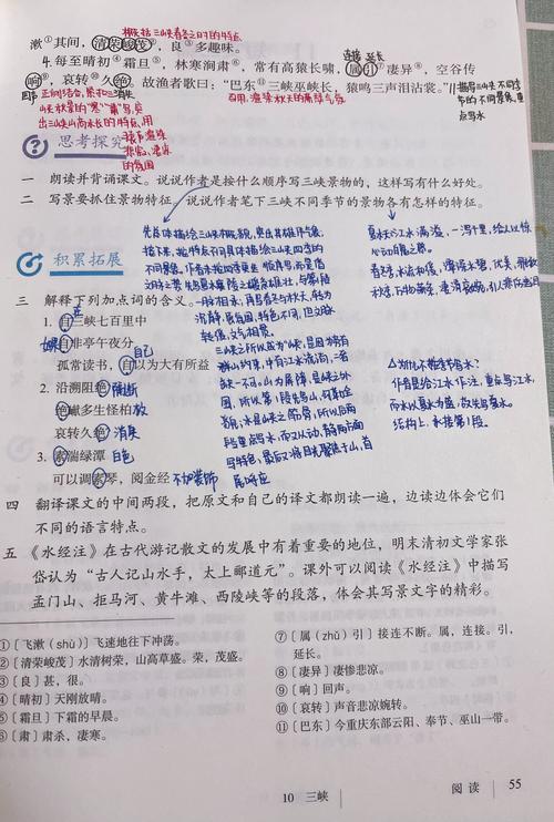 八上第三单元课外古诗文有何学习重点?