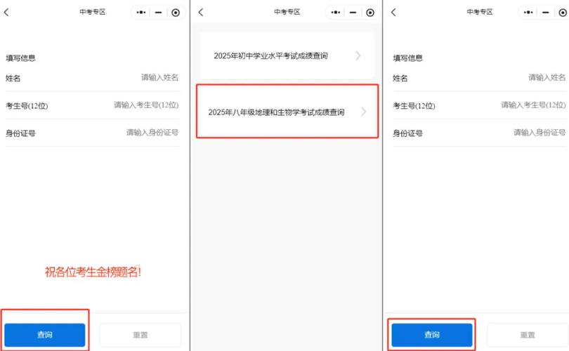 2025七年级成绩何时查？怎么查？