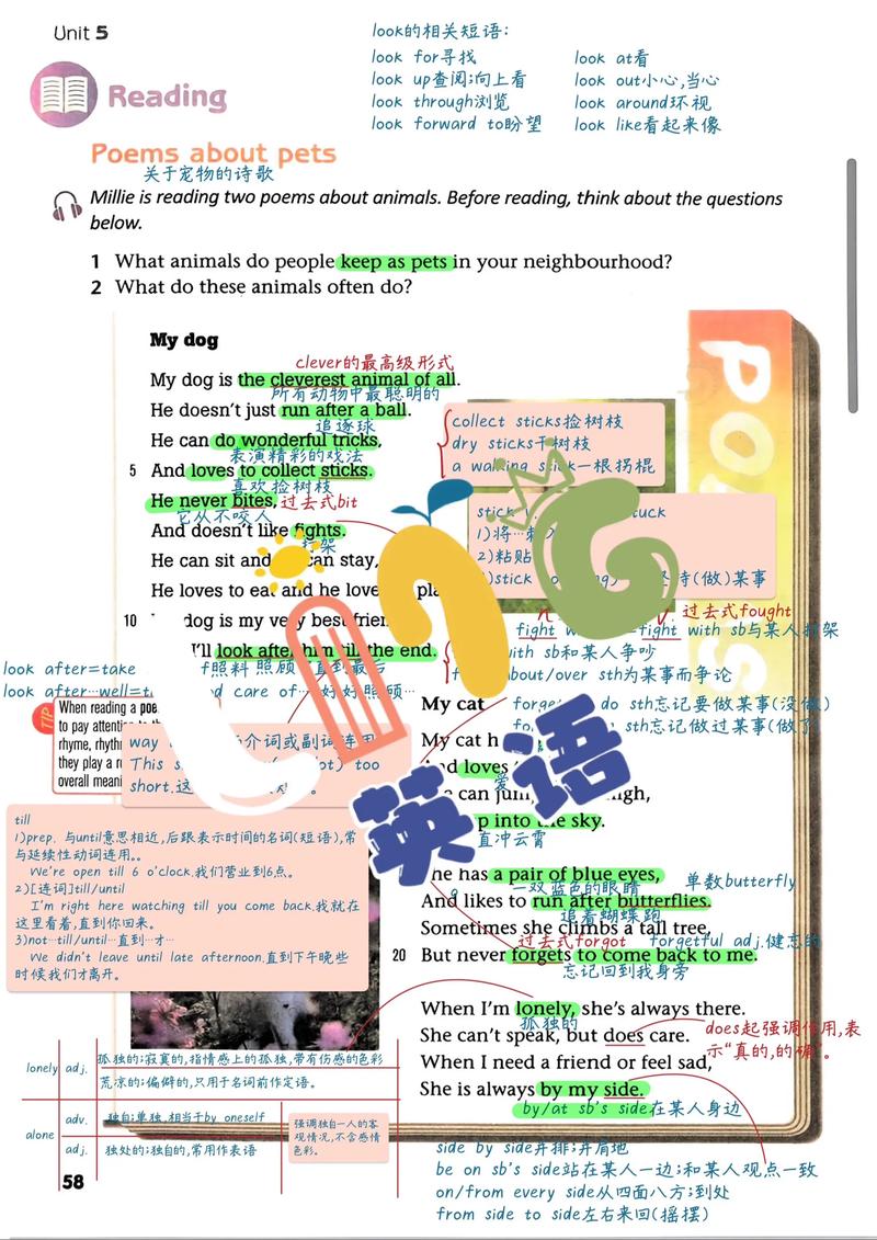 译林七下英语下册核心考点有哪些？