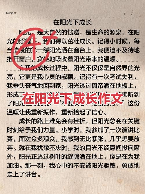 阳光下藏着怎样的成长故事?