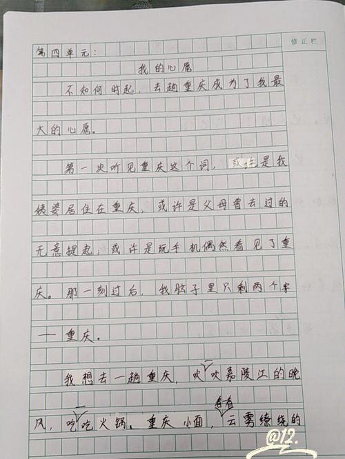 2012重庆语文作文题目的核心争议是什么?