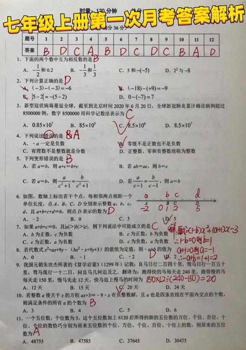 七年级上册政治第一次月考重点是什么?