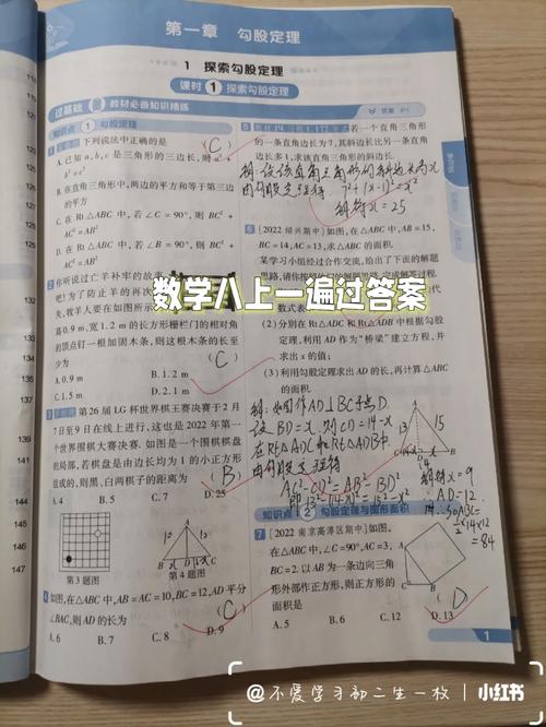 八年级上册数学练闯考答案哪里有?