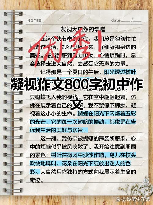 凝视生活，究竟在凝视什么？