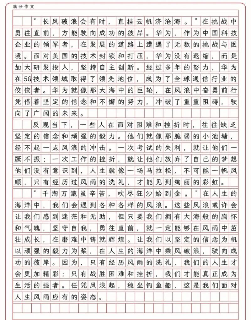 2007湖北高考作文题究竟是什么？