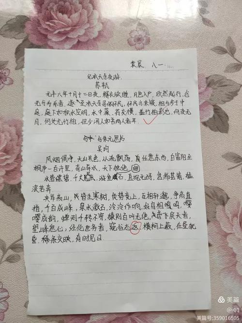 记承天寺夜游默写常考哪些句子?