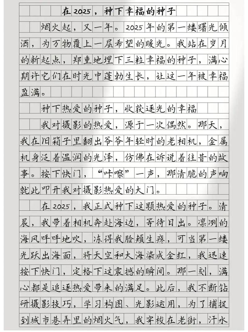 2025湖南满分作文有何独到之处？