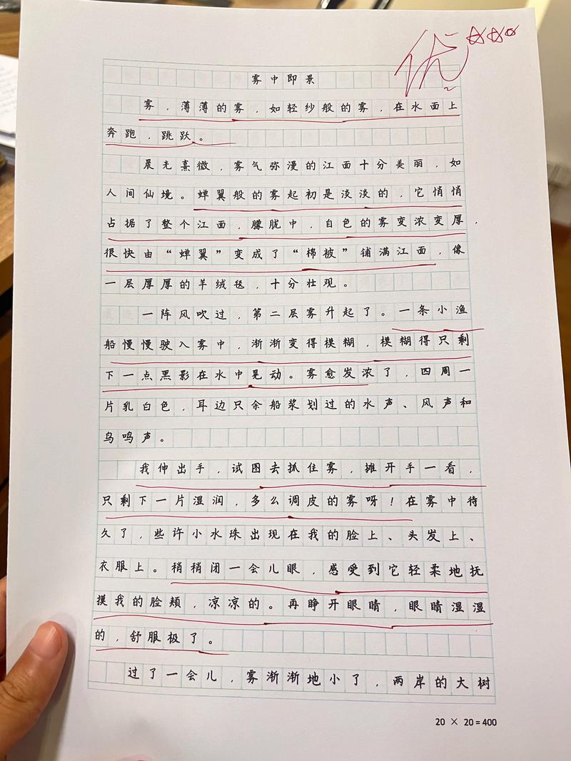 穿过迷雾初中作文，迷雾中如何找到前行方向？