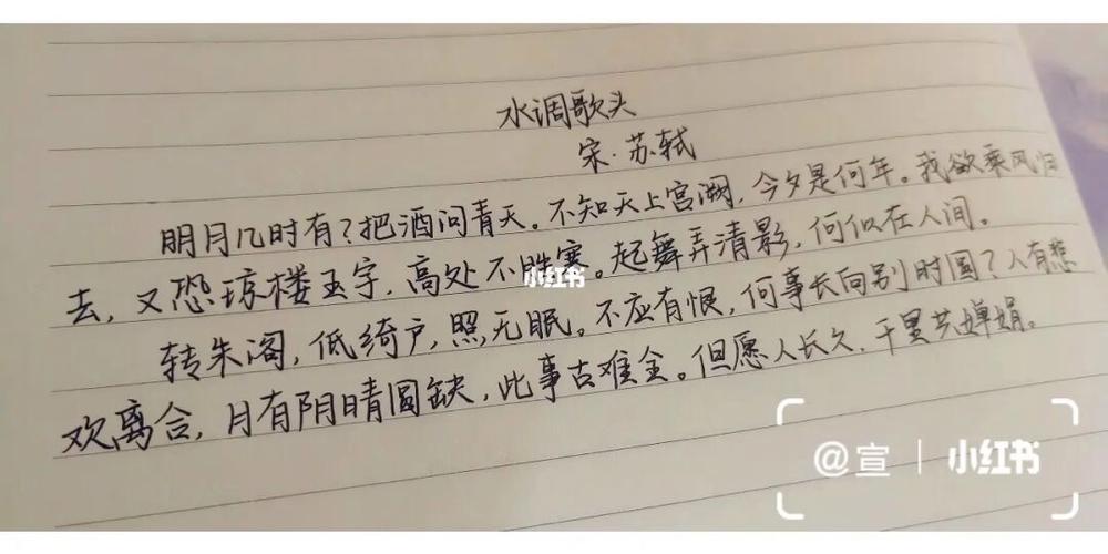 水调歌头默写常考哪些句子?