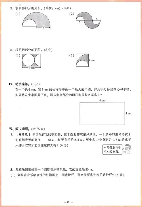 六年级圆的练习题有哪些典型考点?