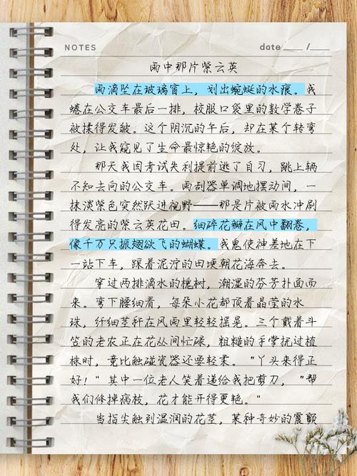 广西2025作文题会考什么主题?