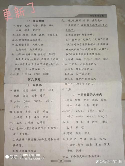 小学四年级语文练习册答案哪里找?