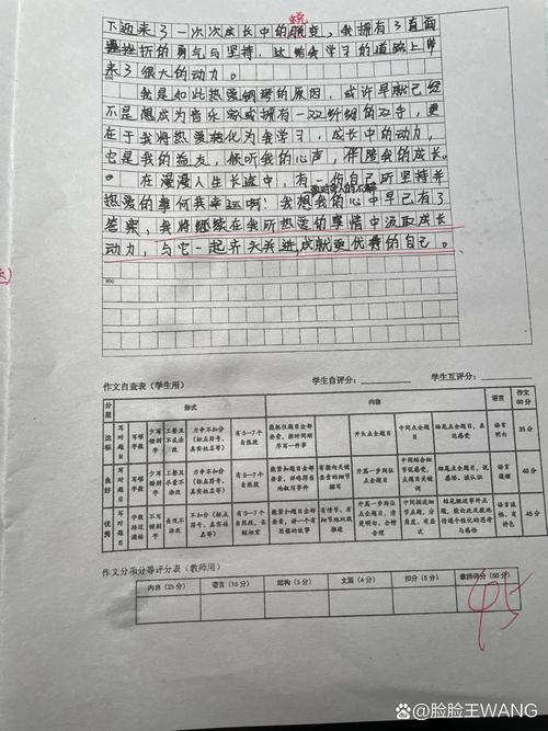 2012广东满分作文凭什么满分？