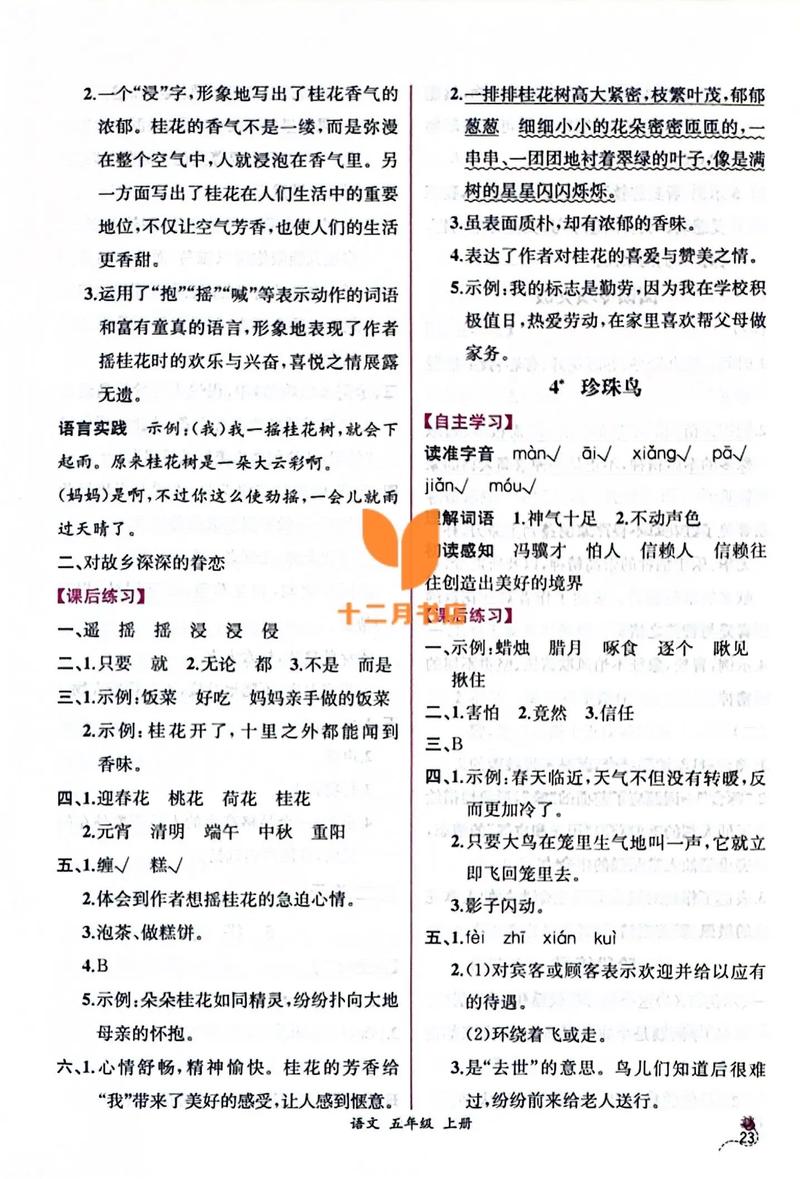 语文课课练五年级上册答案在哪里找？