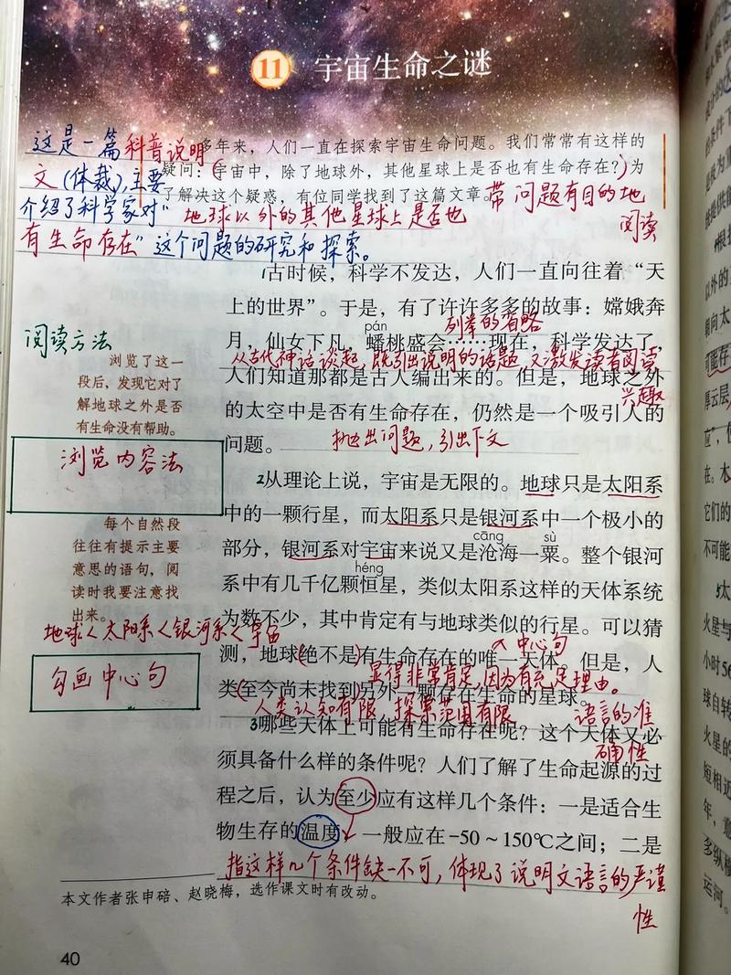 七年级上册语文第十一课讲了什么？