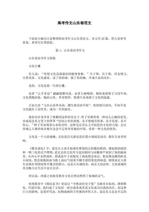 2025山东作文范文有何亮点?