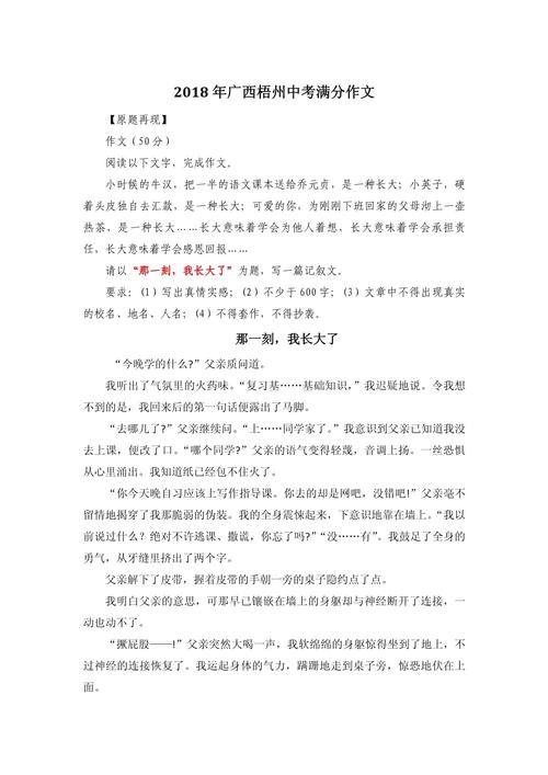 那一刻,中考满分作文藏着什么故事?