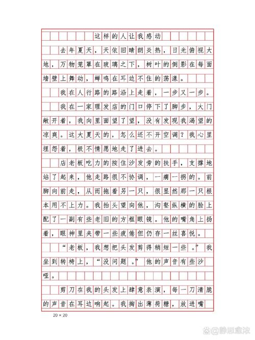 这个人使我感动的作文