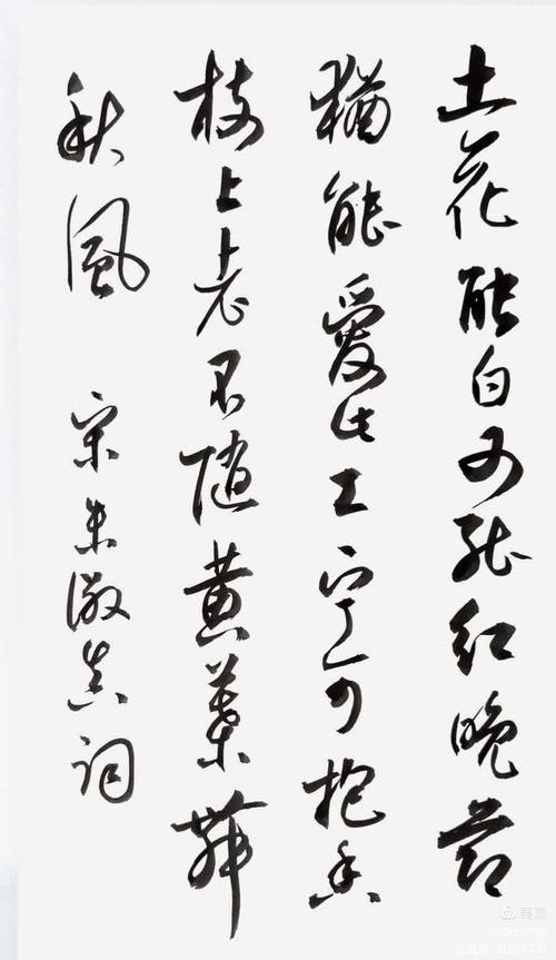 古诗词中黄花意向有哪些?