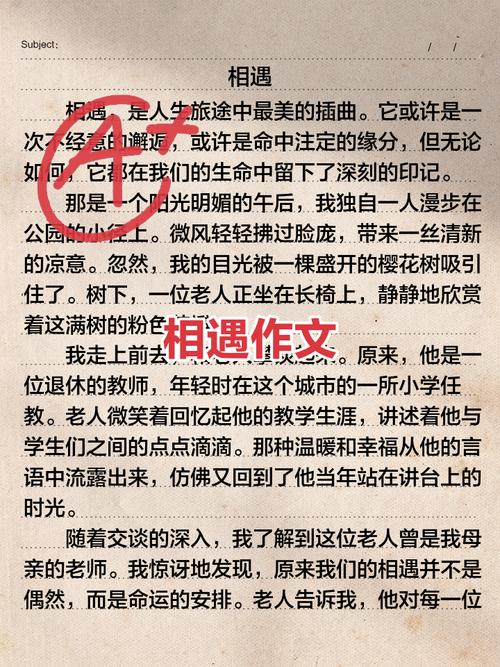 相遇在初中,藏着哪些未说出口的心事?