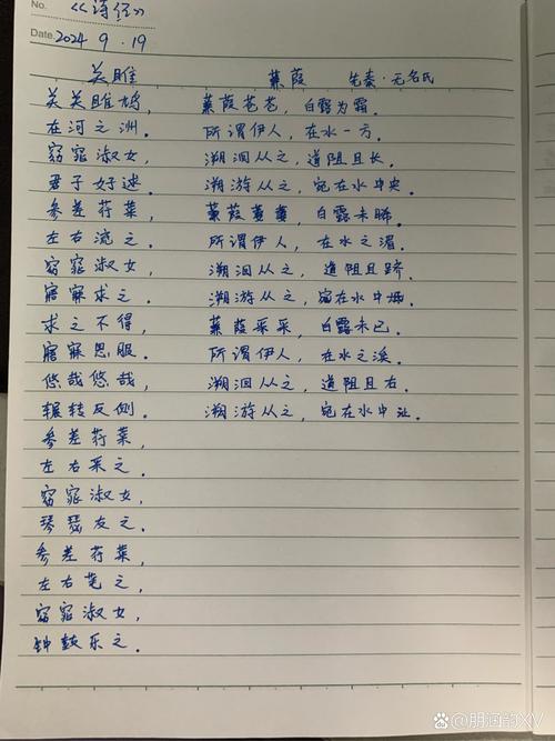 关雎蒹葭古诗深意何在？