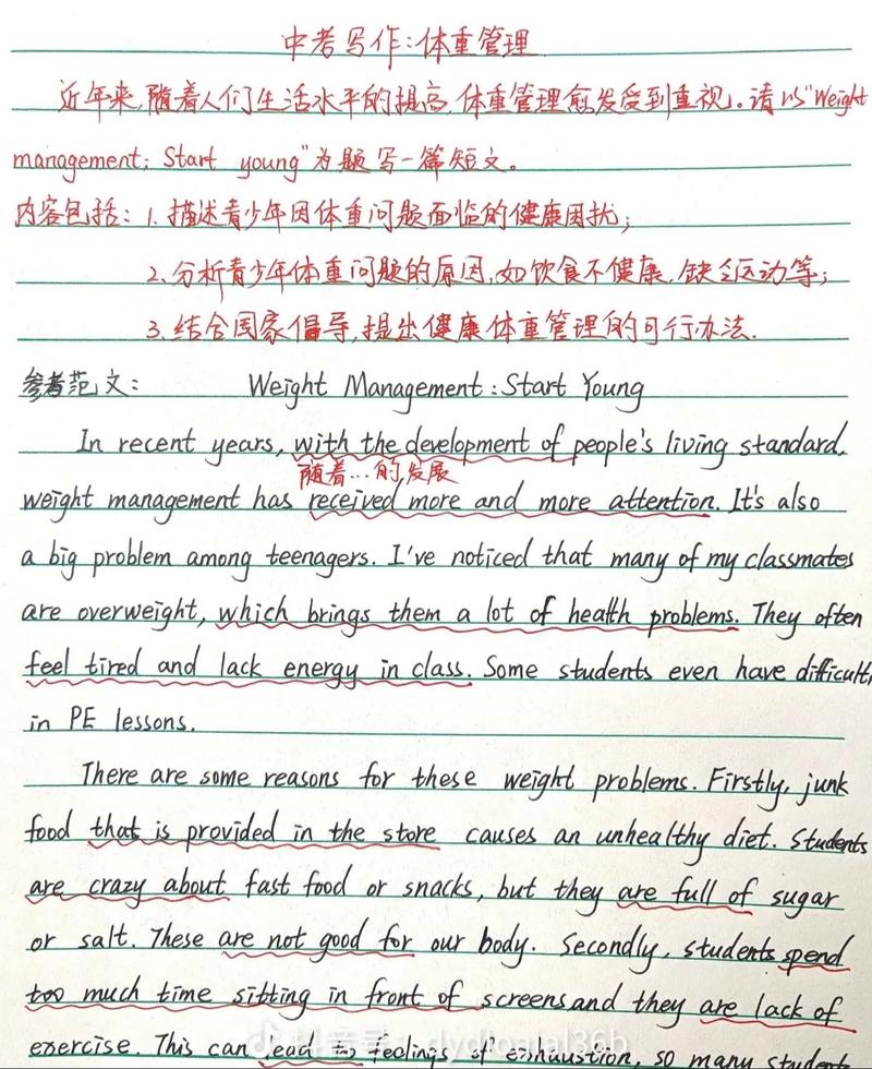 2025湖北英语作文怎么写？评分标准是什么？