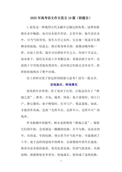 宁夏2025语文作文考什么？