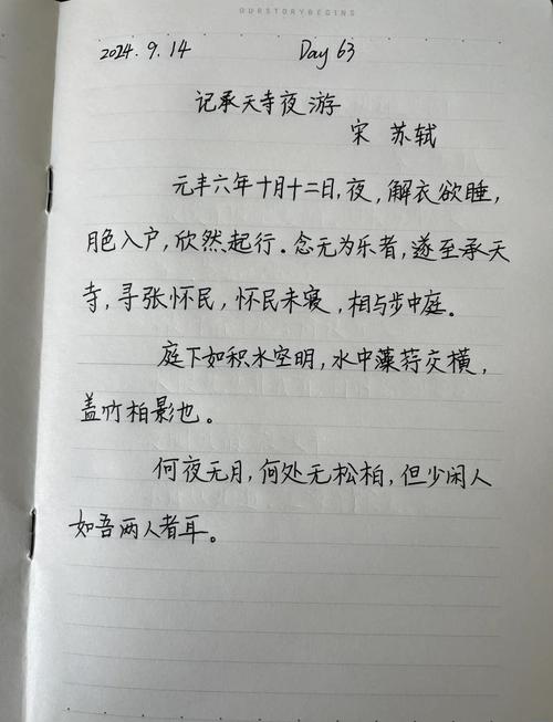 记承天寺夜游默写常考哪些重点句?