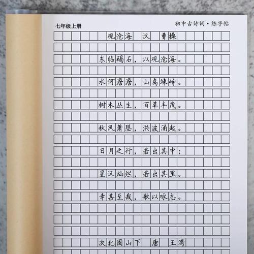 初中语文作文常用古诗词有哪些？