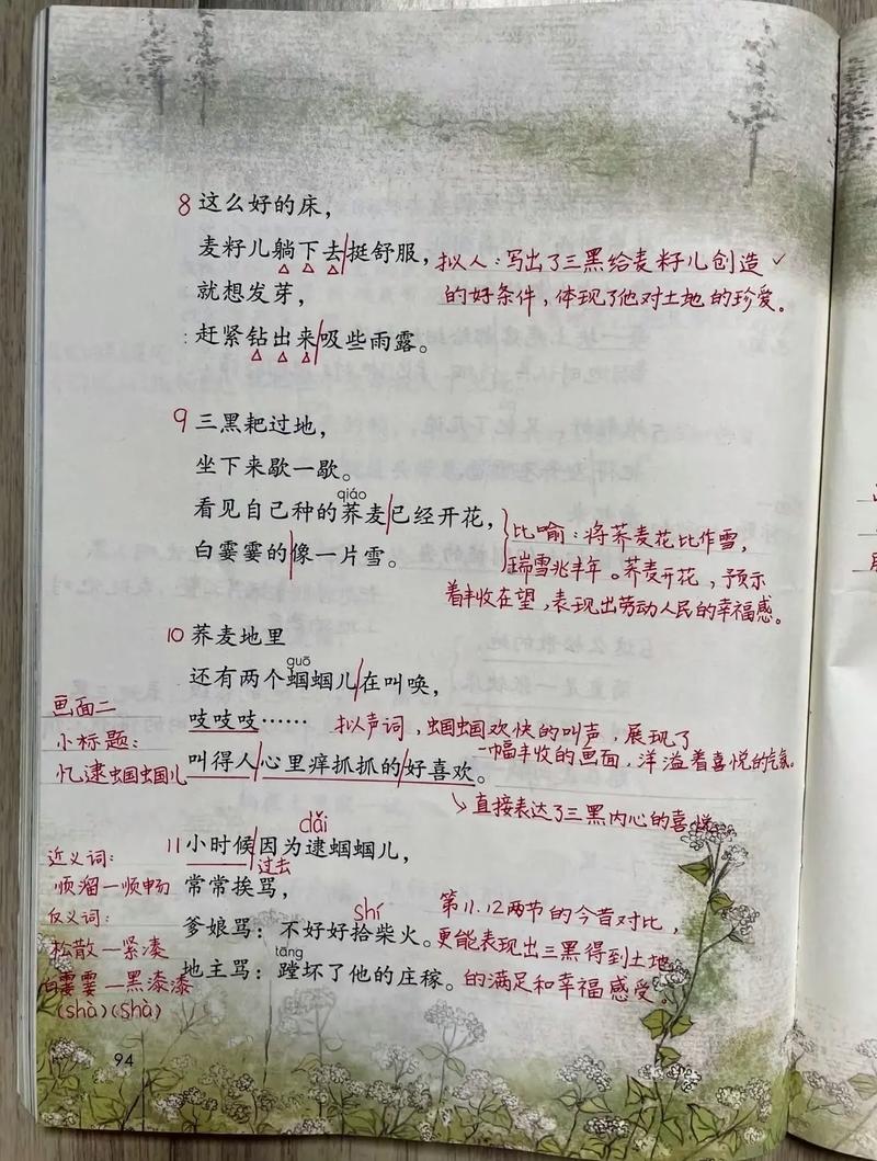 六年级上册语文第六单元讲了什么?