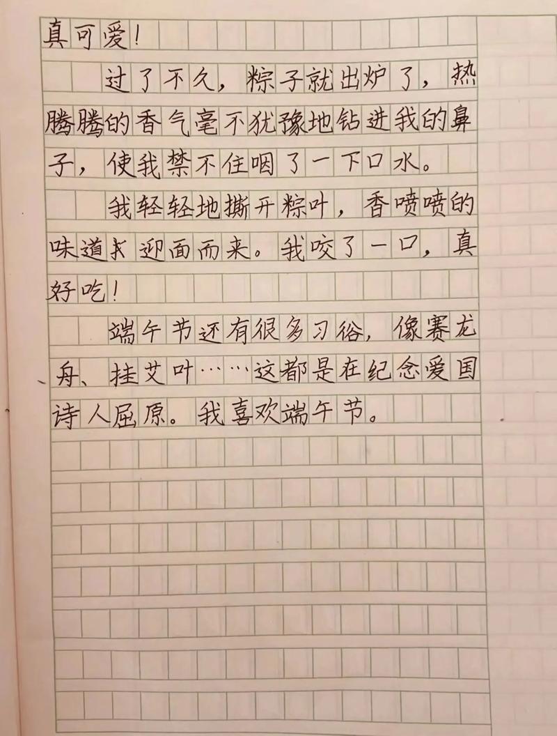端午节的900字作文写了哪些独特故事？