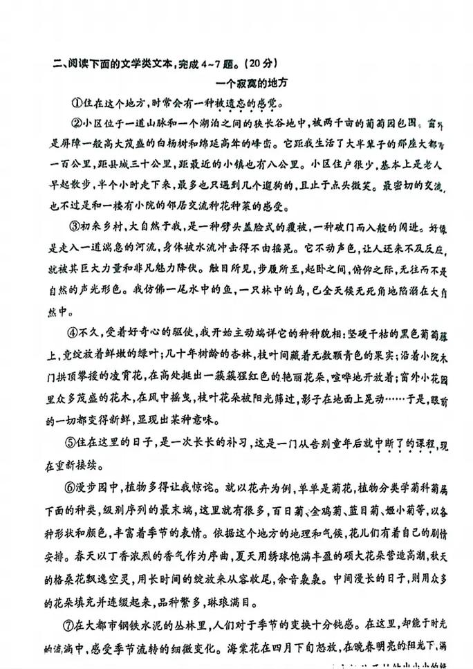 武汉2025四调作文有何命题方向与备考重点？