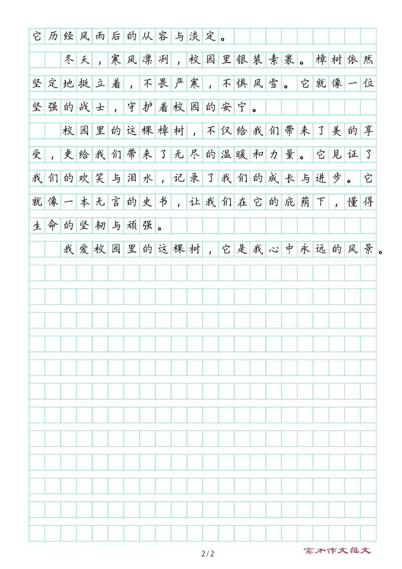 树在作文里,藏着什么故事?