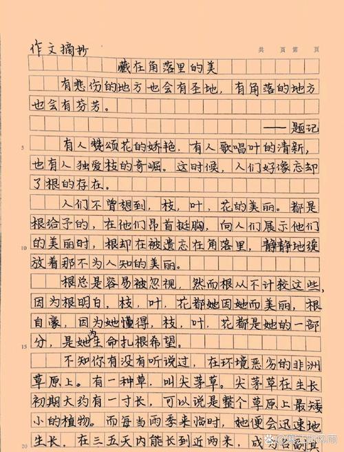 藏在什么中的美?