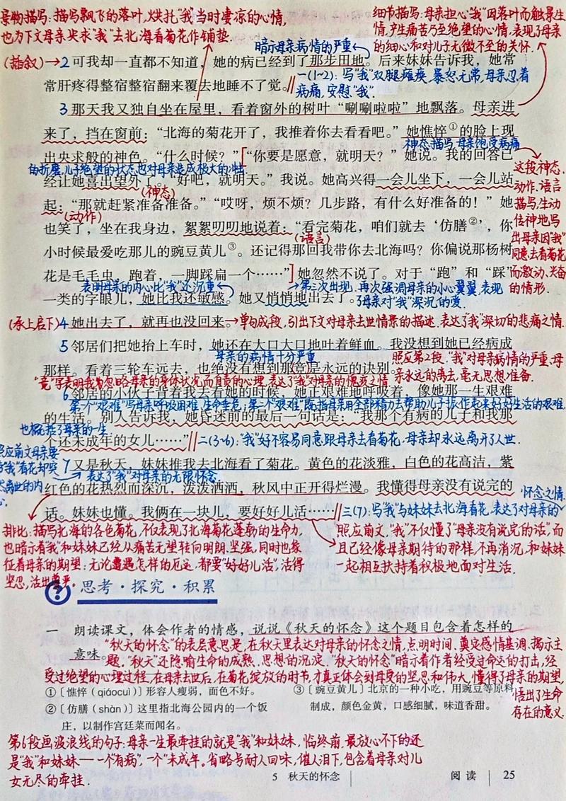 秋天的怀念为何藏着深沉母爱？