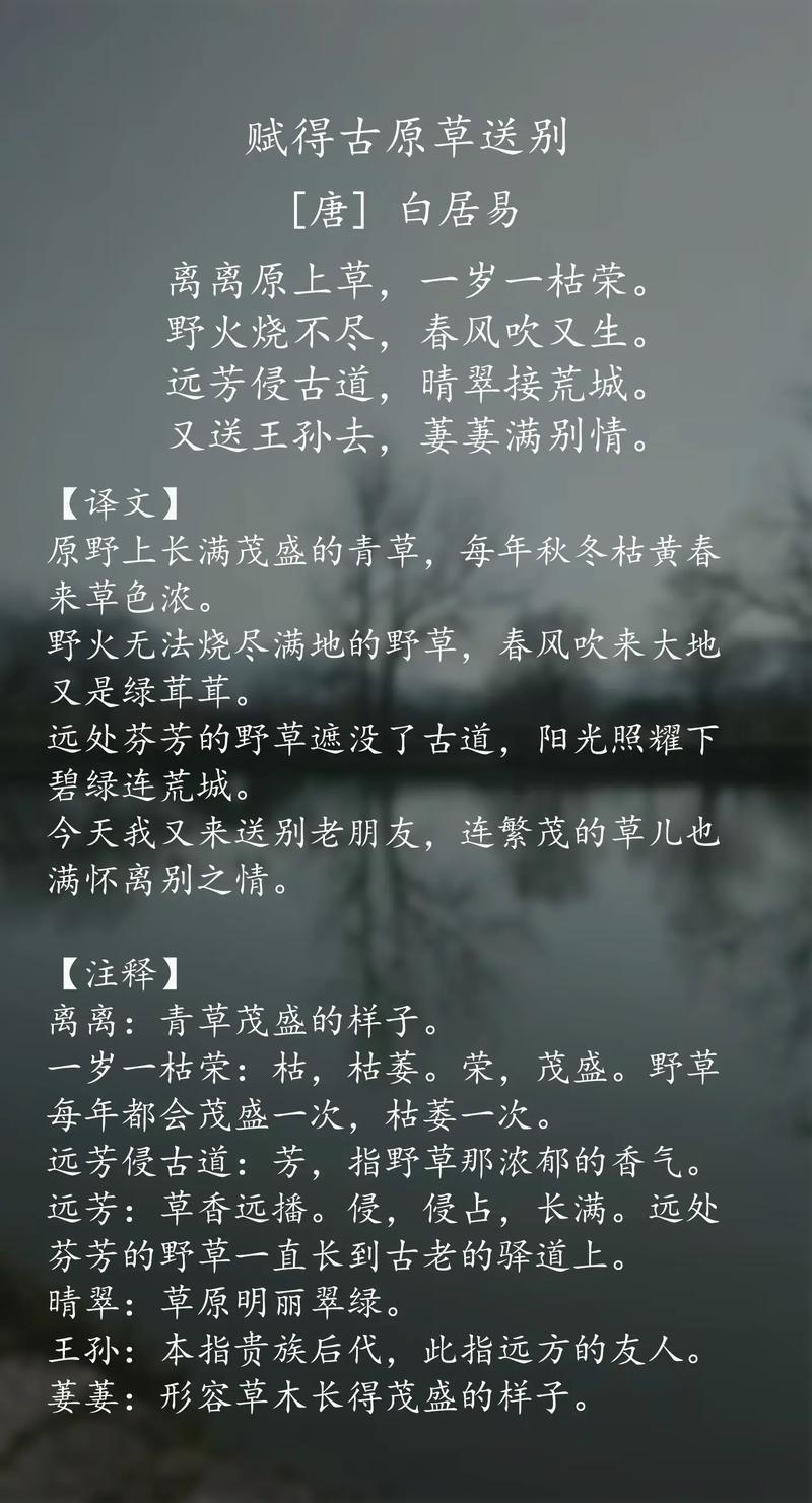 古诗名句补全，你知多少？