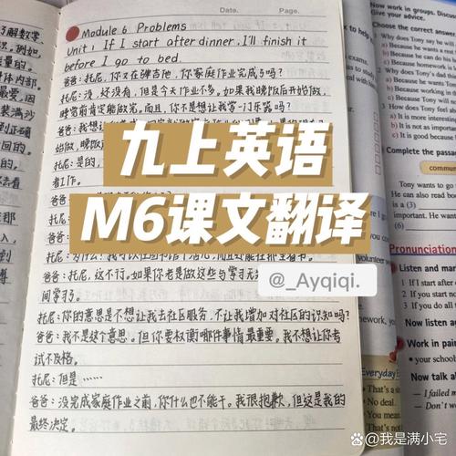 九年级上册英语外研版翻译怎么学？