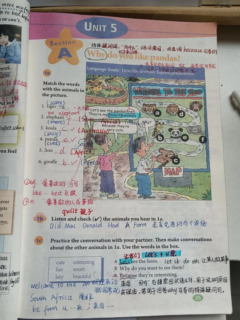 七下英语Unit5核心考点有哪些？