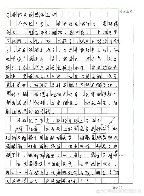 那次快乐作文里藏着什么秘密？