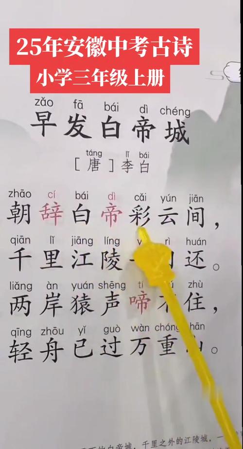 2025中考语文古诗词考什么?