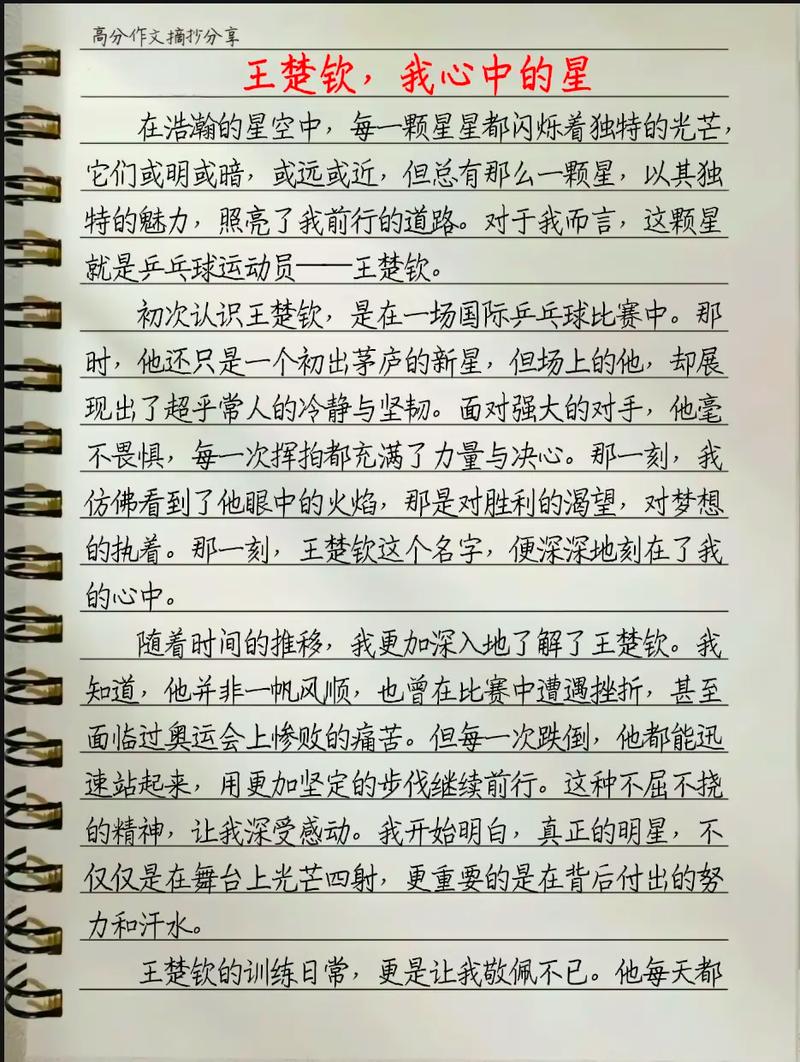 我心中的明星是谁？