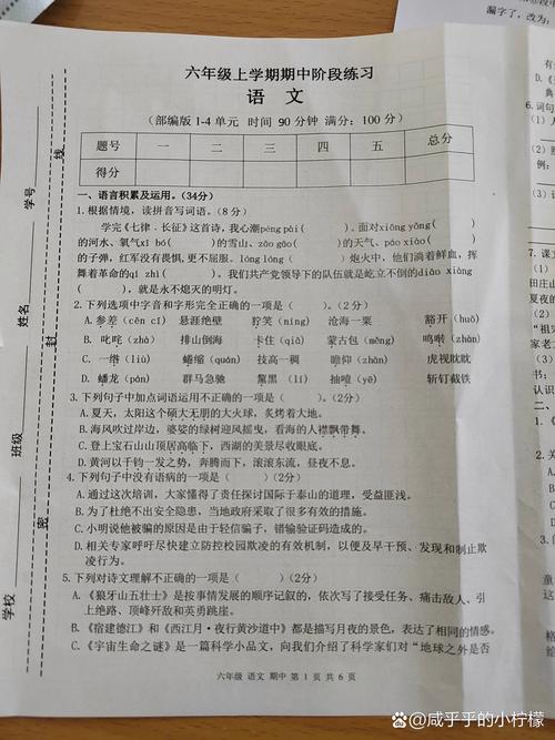 六年级上册语文期中测试卷重点难点有哪些?