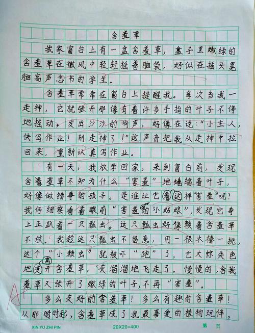 那抹色彩，藏着怎样的故事与情思？