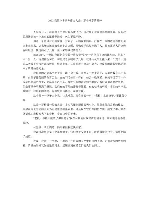 难忘的中考满分作文，藏着怎样的高分密码？