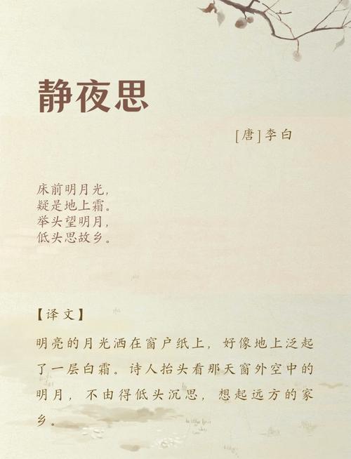 14届静安区古诗文考了什么？