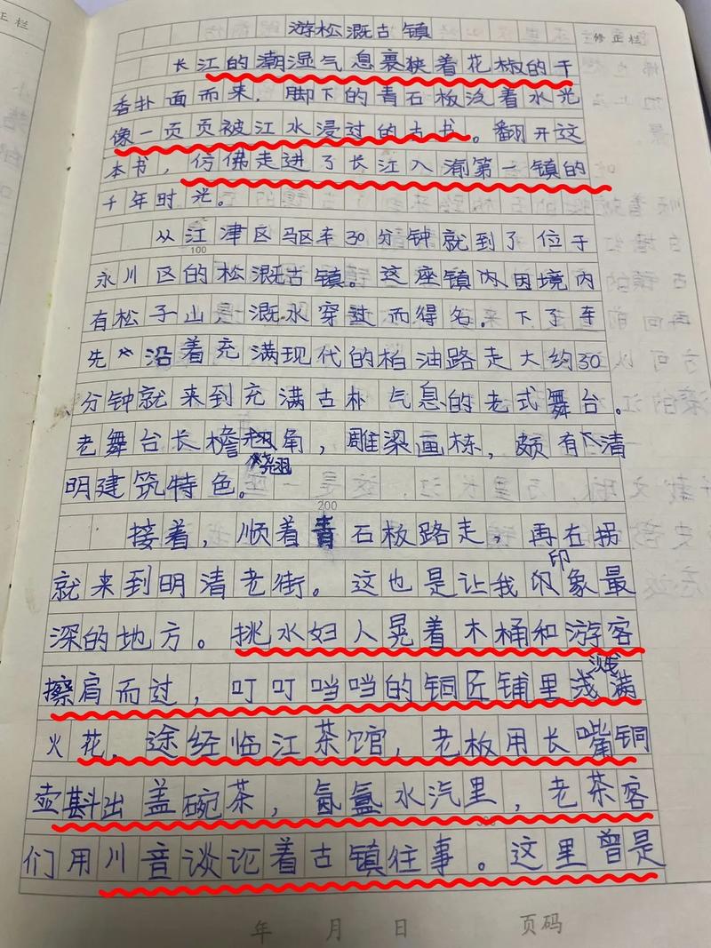 2025重庆语文作文会考什么主题？